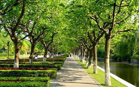 達(dá)縣亭子職業(yè)高級(jí)中學(xué)2023招生專業(yè)有哪些?電子技術(shù)應(yīng)用專業(yè)就業(yè)怎么樣