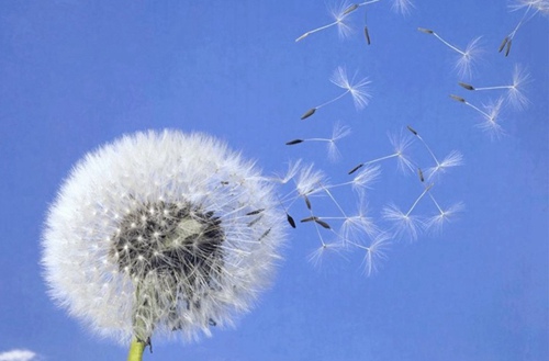 成都2023年讀鐵路管理與運輸專業哪所職業學校好