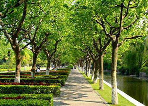 成都2023年初中生讀鐵路運(yùn)輸專業(yè)哪所學(xué)校好